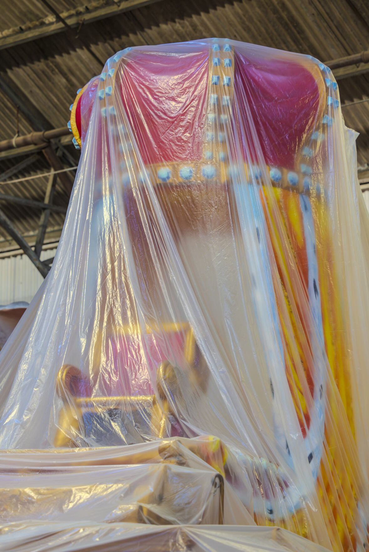 NO.mardigrasfloat.010324_103.JPG
